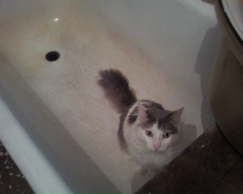 Константин Мозжухин | Красноярск