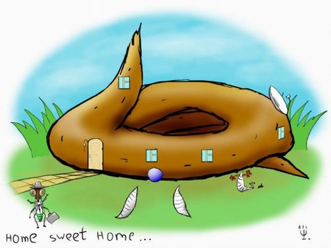 Иван Мальцев | Курган