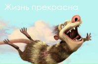 Фотография Алексей Баянов