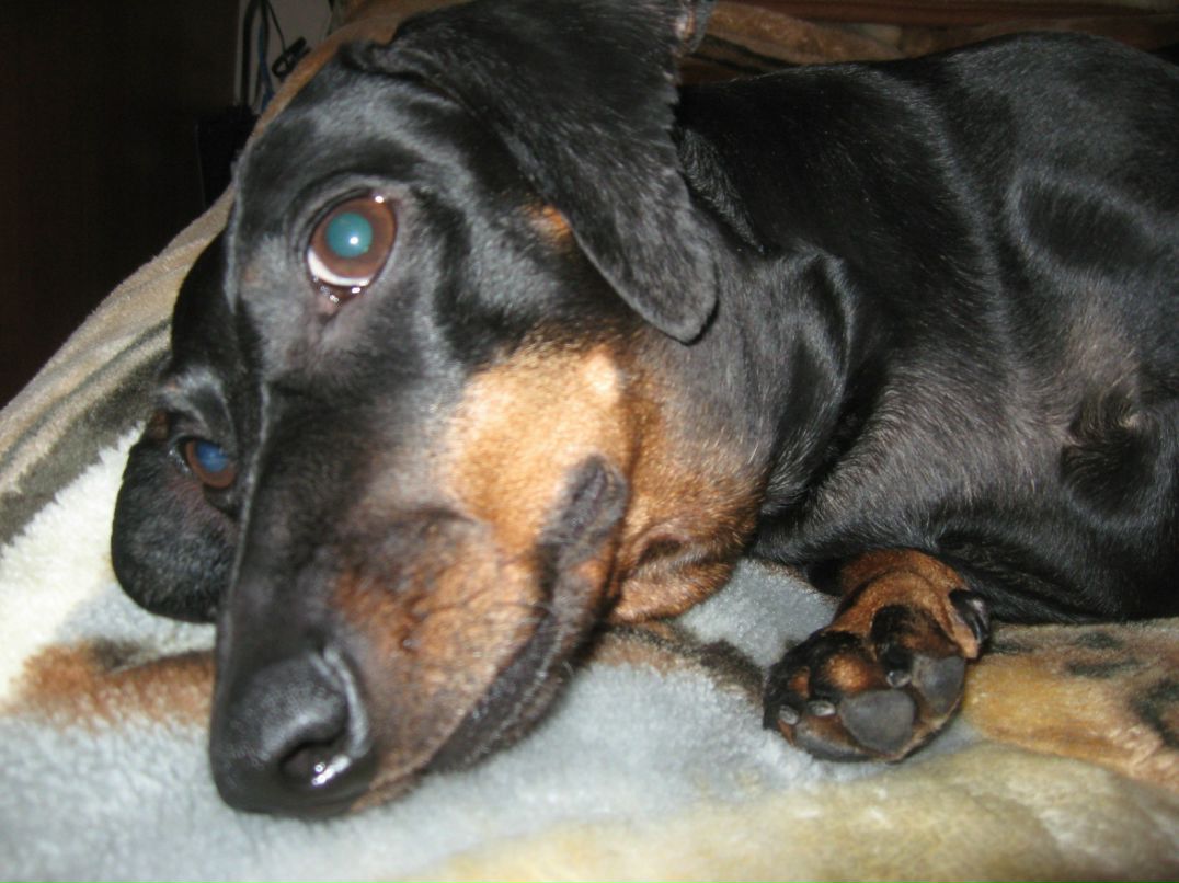 Эх Жека-Жека | Санкт-Петербург