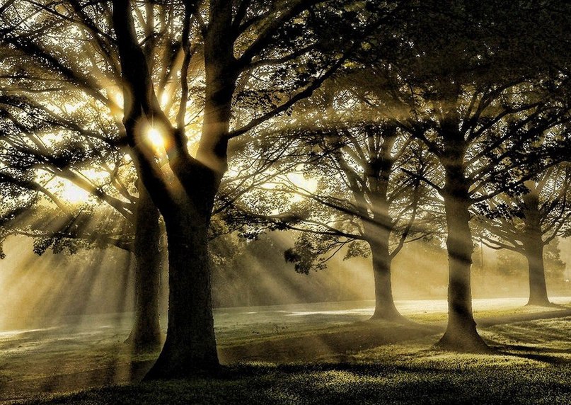 Эмиль Ковалёв | Казань