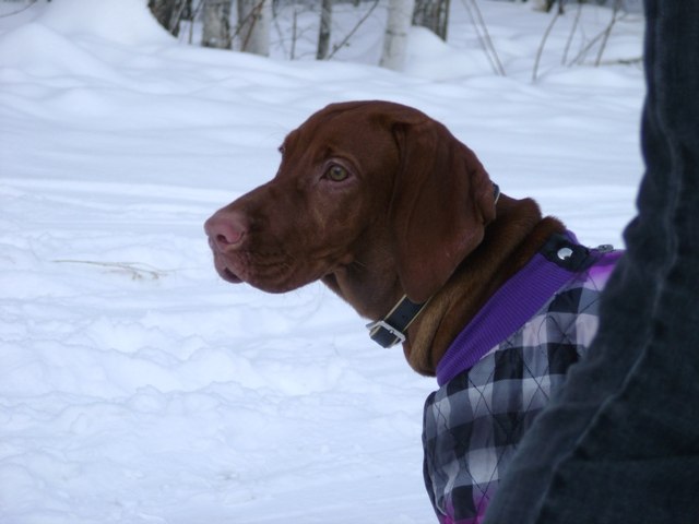 Анна Донич | Иркутск