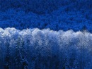 Фотография Лукьянова Сергея