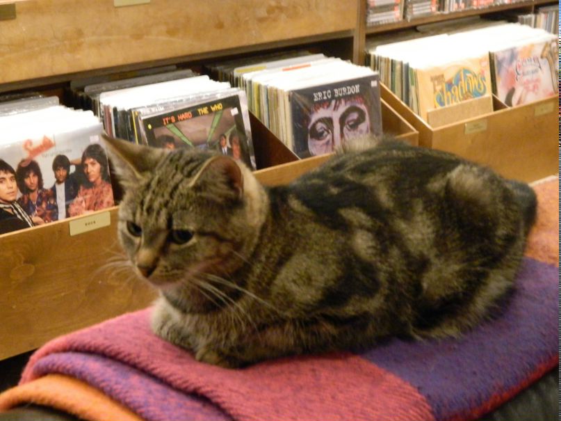 Richard Nixxon | Санкт-Петербург