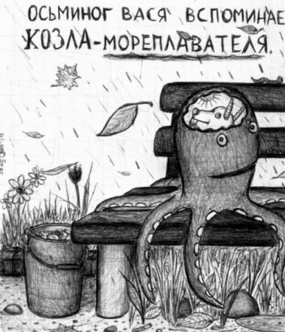 Котофалк Нимуро ome | Düsseldorf