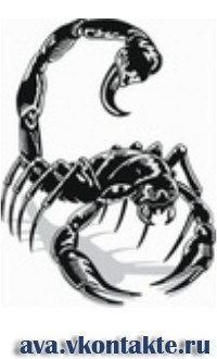 Дмитрий Вовченко | Мурманск