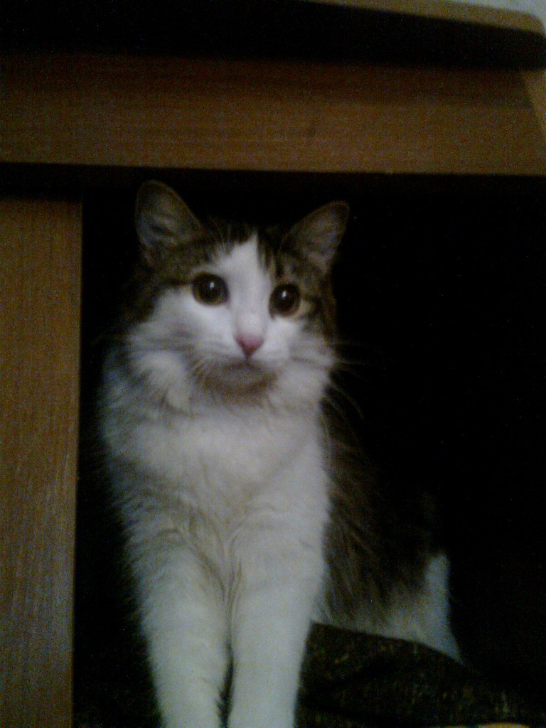 Наталья Коробова Евгеньевна | Красноярск