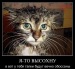 Всеволод Крестьянов фотография #19