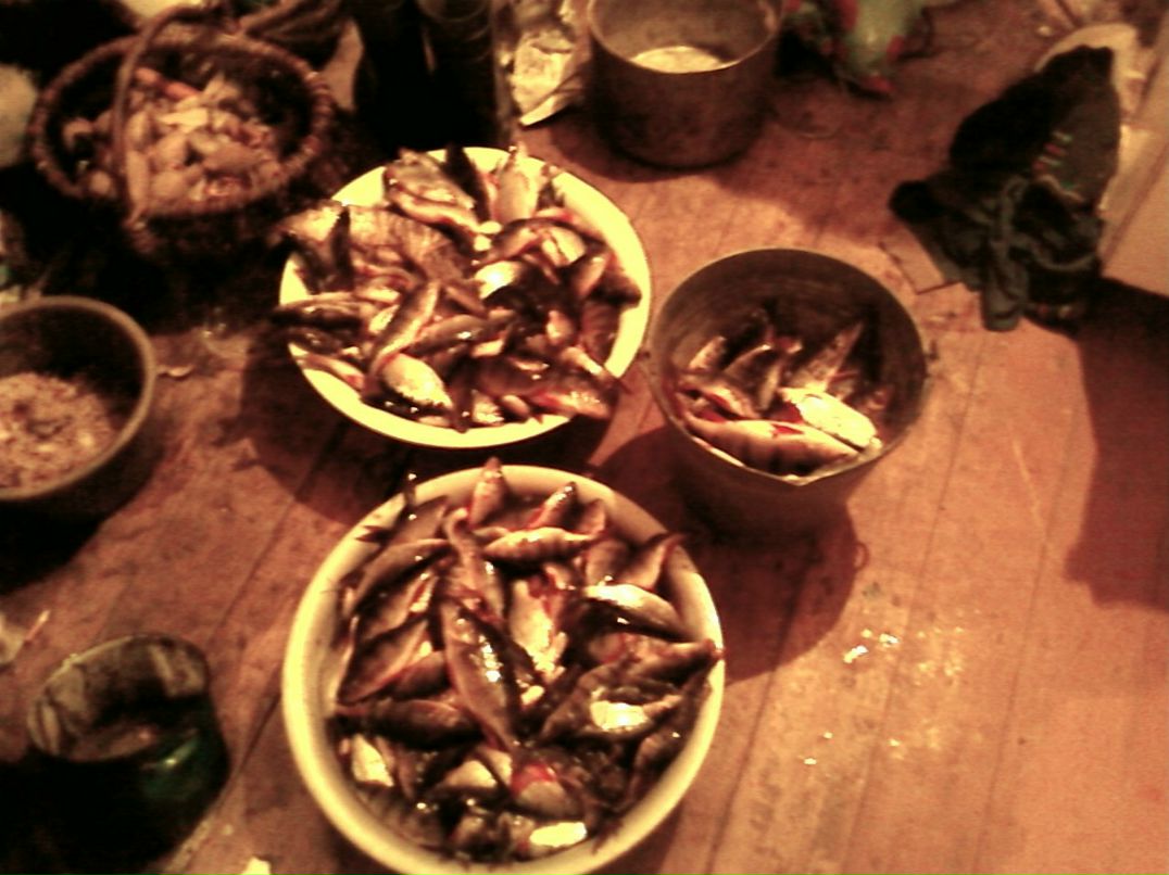 Андрей Шуляк | Киев