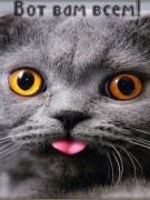 Алексей Писарев | Новосибирск