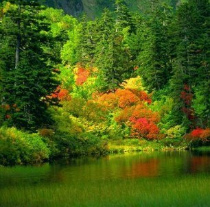 №17, Кариба Хейн, 37 лет №17, Кариба Хейн, 37 лет