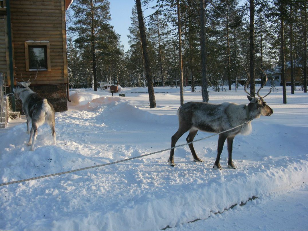 Ирина Китова | Москва