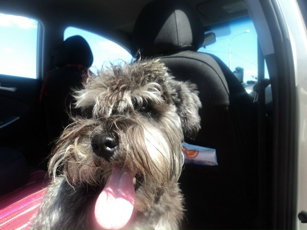 Григорий Крецул | Петрозаводск