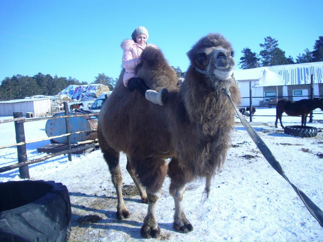 Альбина Абдуллаева | Кызылорда