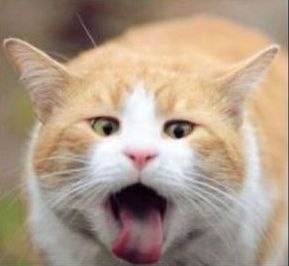 Арчибальд Ковбасюк | Челябинск