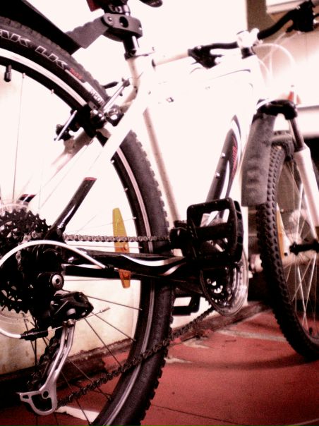 №20, Алёна Скапишева №20, Алёна Скапишева