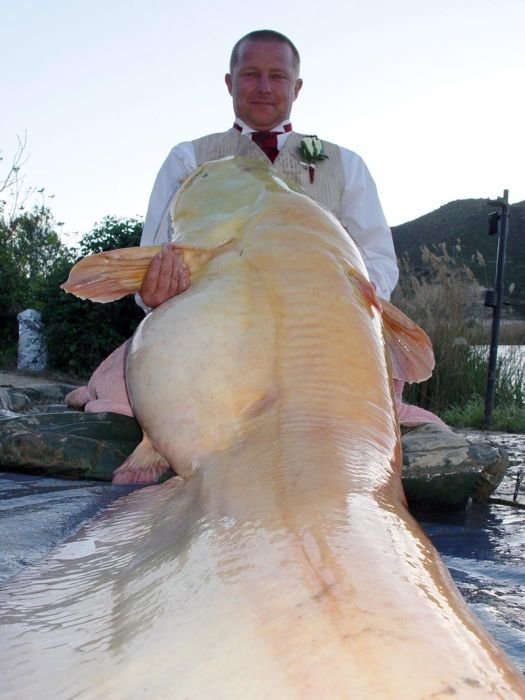 Витаха Лукашёв | Кривой Рог