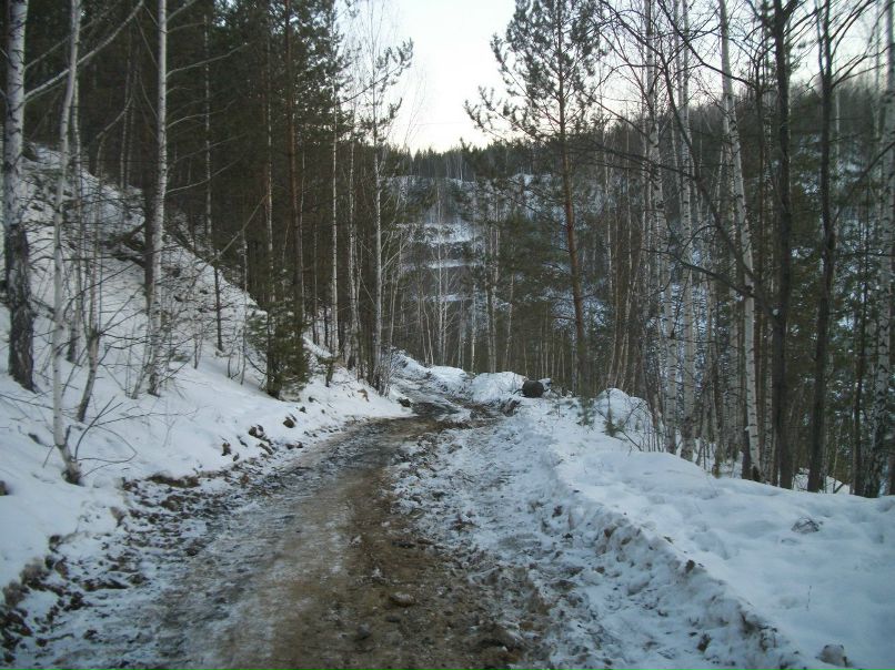 Даниил Горбунов | Екатеринбург