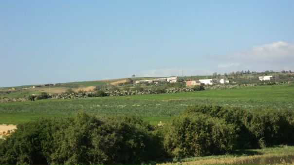 №16, Hamza Methanni, Омск №16, Hamza Methanni, Омск