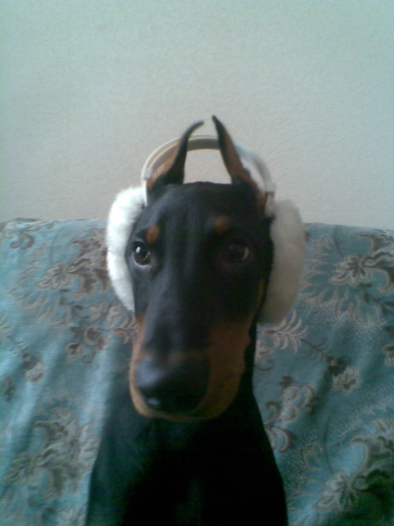 Саня Бланк | Яворов