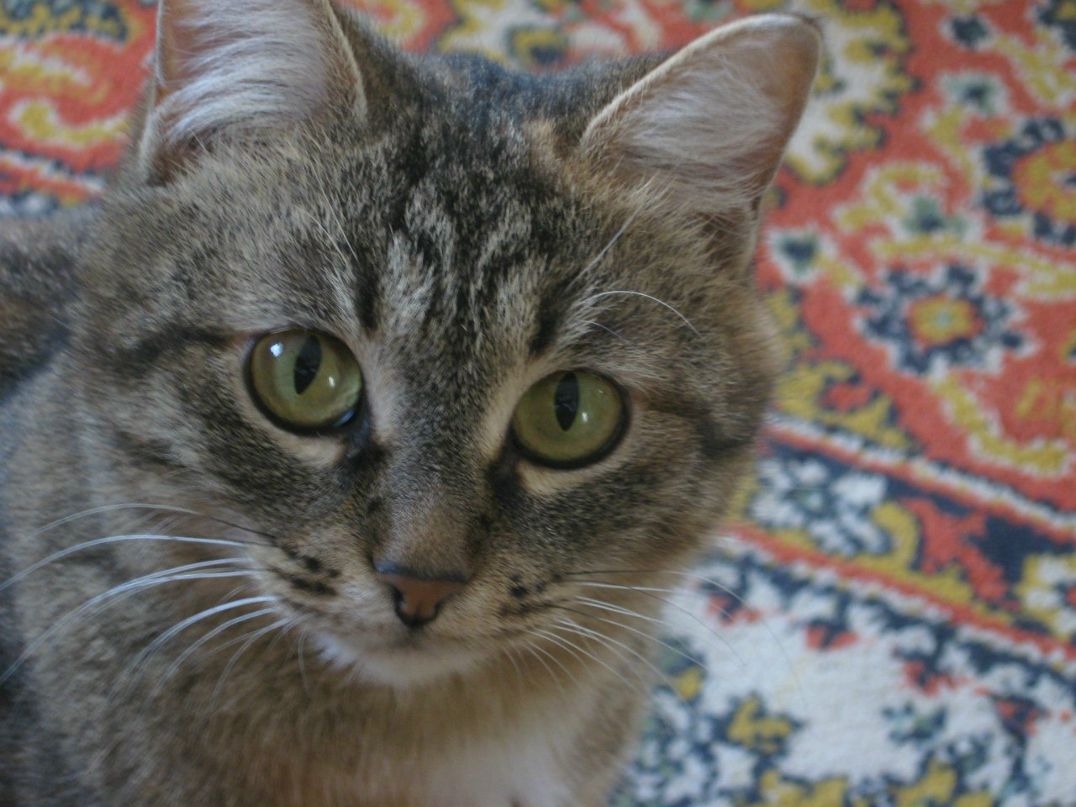 Сергей Доколин | Челябинск