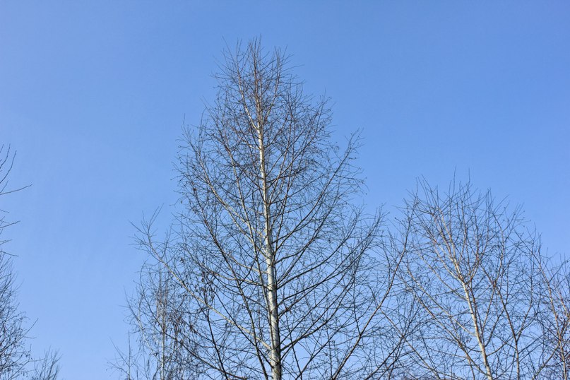 Кирилл Мамыч SOUND-MASTER | Магнитогорск