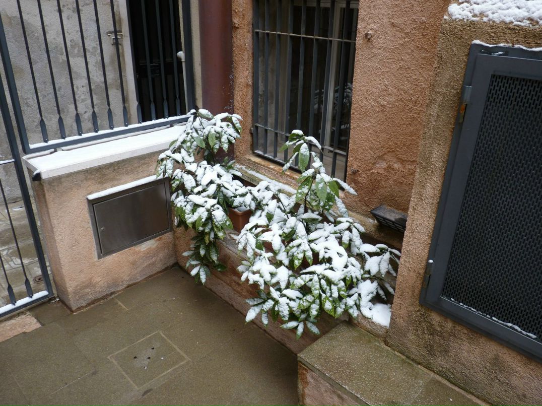 Дина Русецкая | Нижний Новгород