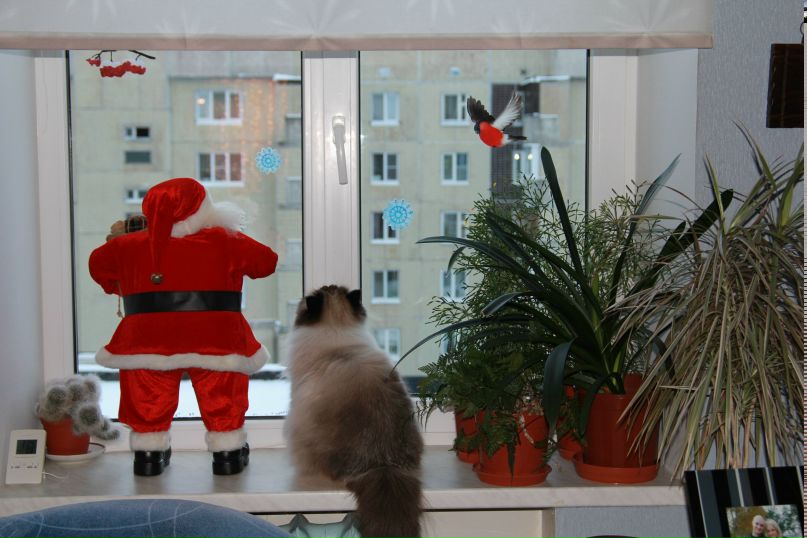 Наталья Дробченко | 