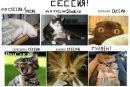 №32 Катерина Фёдорова 20.07.1991: профиль, фото, статус - ВКонтакте