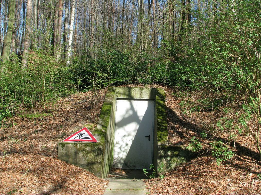 Святославъ Богачёв XamelioN | Хабаровск