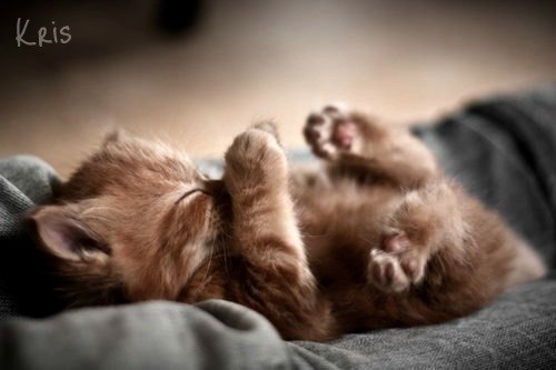 Kristina Skoromets | Минск