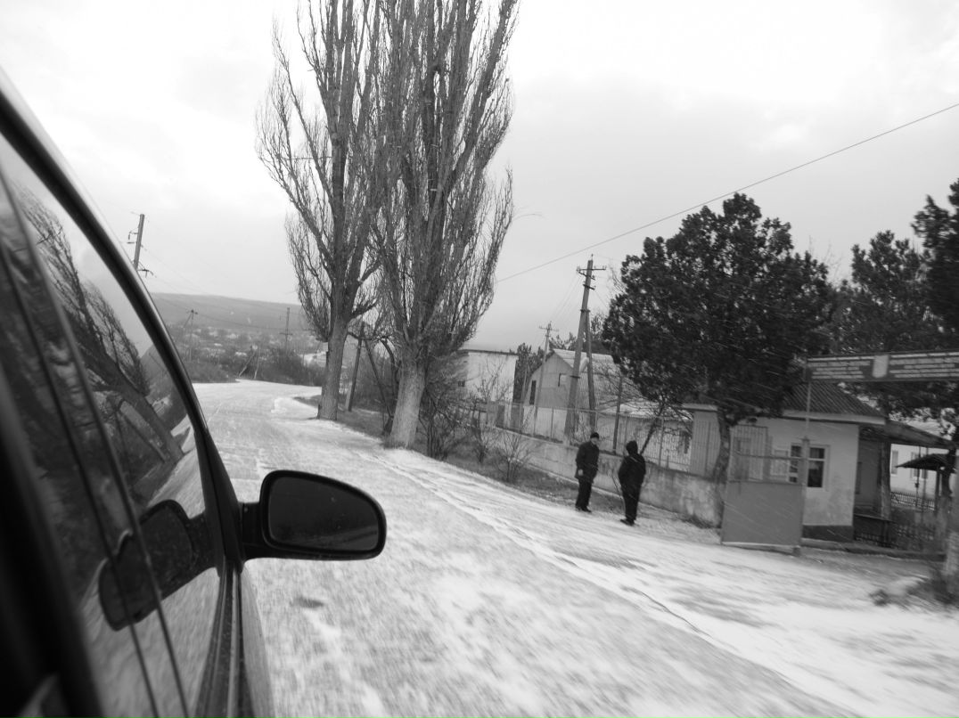 Коля Гомон | 