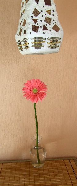 №31, Маша Ганенко, 33 года, Киев №31, Маша Ганенко, 33 года, Киев