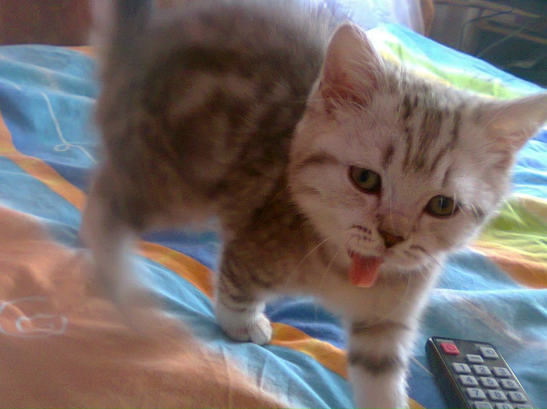 Аня Михайличенко | Москва