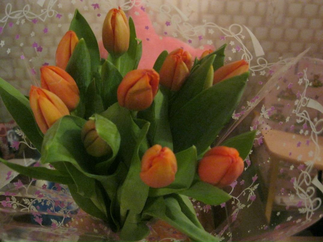 Анютка Зарипова | Казань