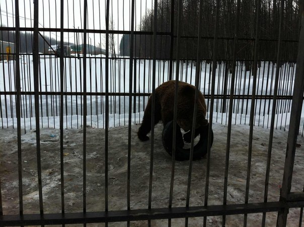 №180, Олечка Михайлова, 37 лет, Чебоксары №180, Олечка Михайлова, 37 лет, Чебоксары