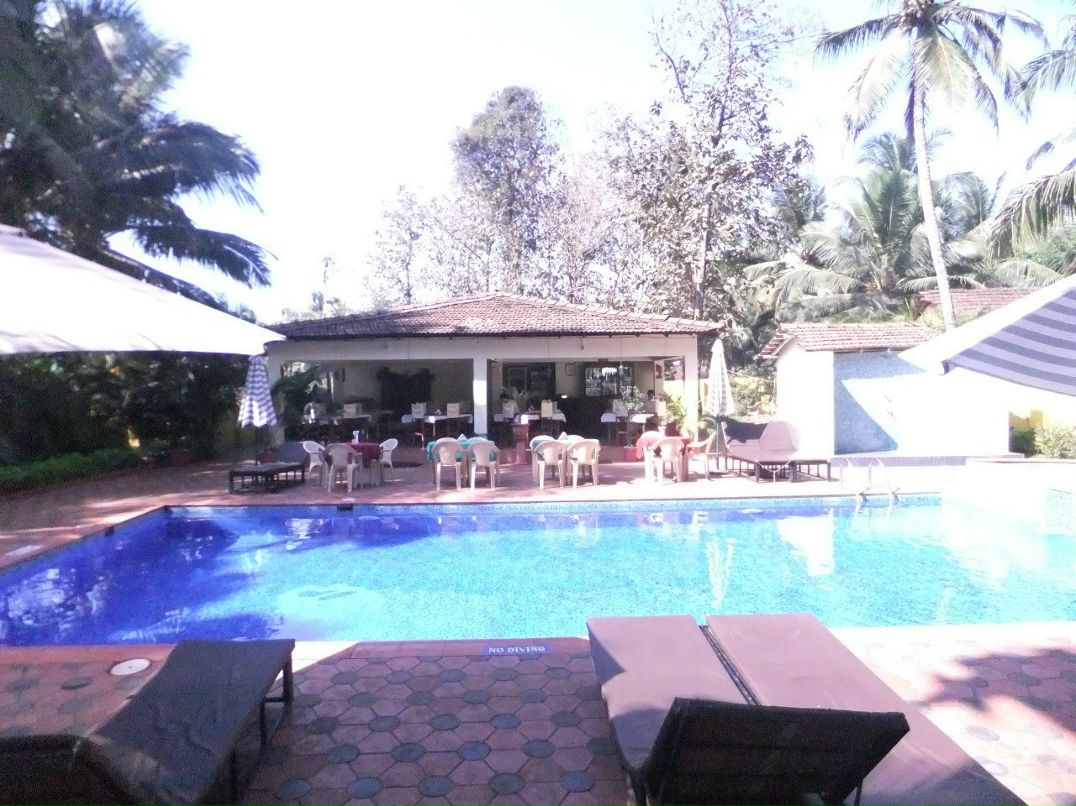 Наталья Николаева-Иванова | Санкт-Петербург