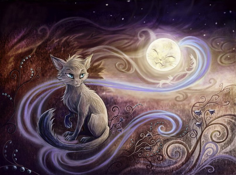 Евгения Гога | Саранск