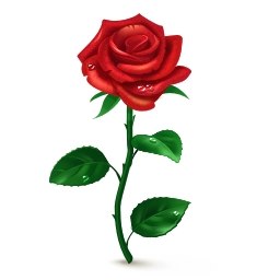 Антон Ляхов | Москва