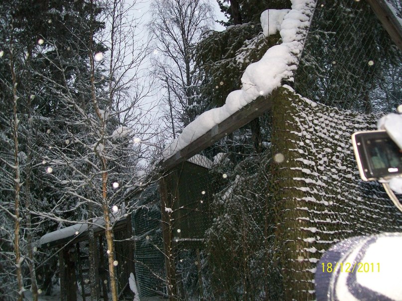 Алина Ескина *без подруги не как* | Костомукша