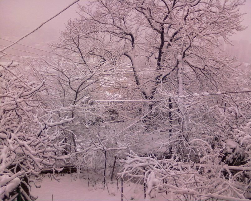 Ирина Марданова ***МИФ*** | Краснодар