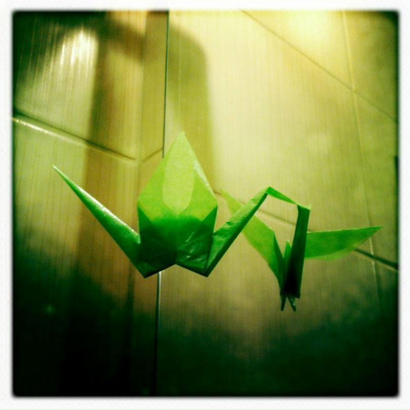 Алёна Давидюк | Санкт-Петербург