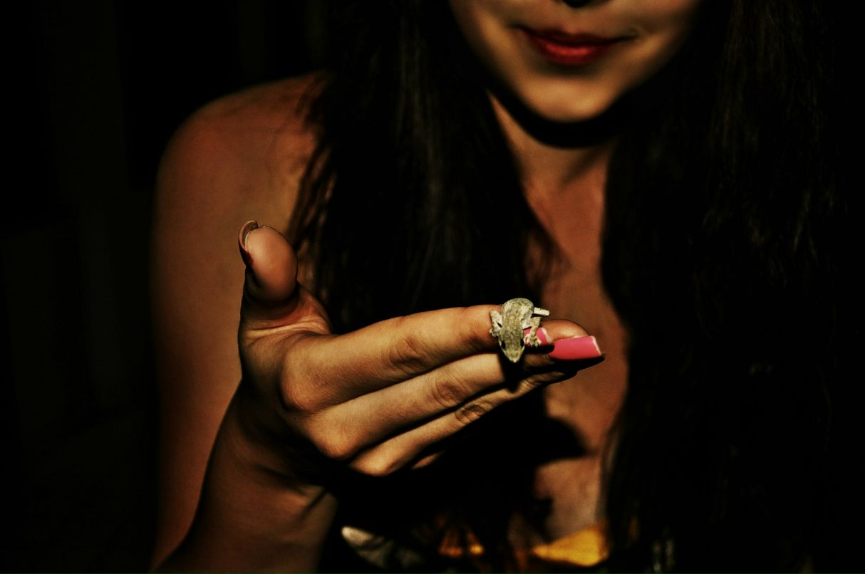 Анастасия Вебер | 