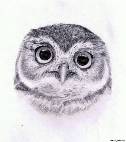 Кирилл Лезин | Нижний Новгород