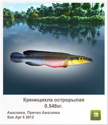 Николай Китанов | Казань