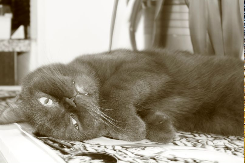 Мария Данюк | Вологда