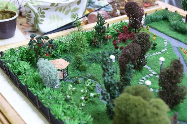 Никита Саблин | Новосибирск