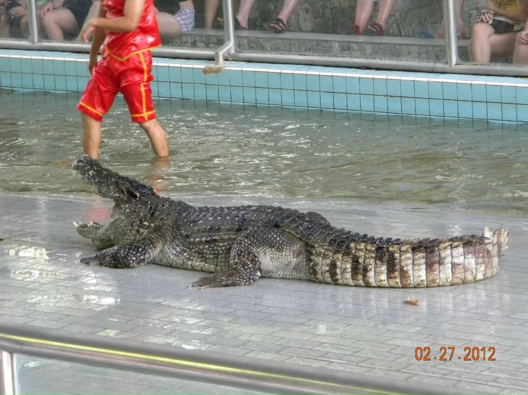 Юрий Кукуету Иванович | Пасечная