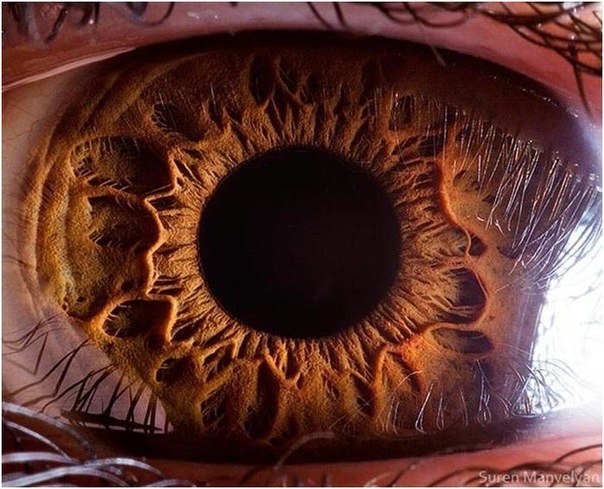 Артем Мигелов &&& | Нижний Новгород