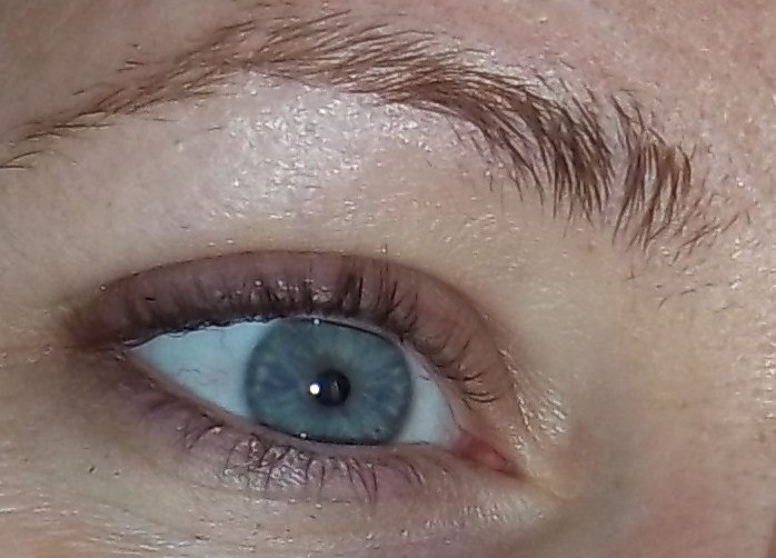 Katya Phillips | Dalmatia